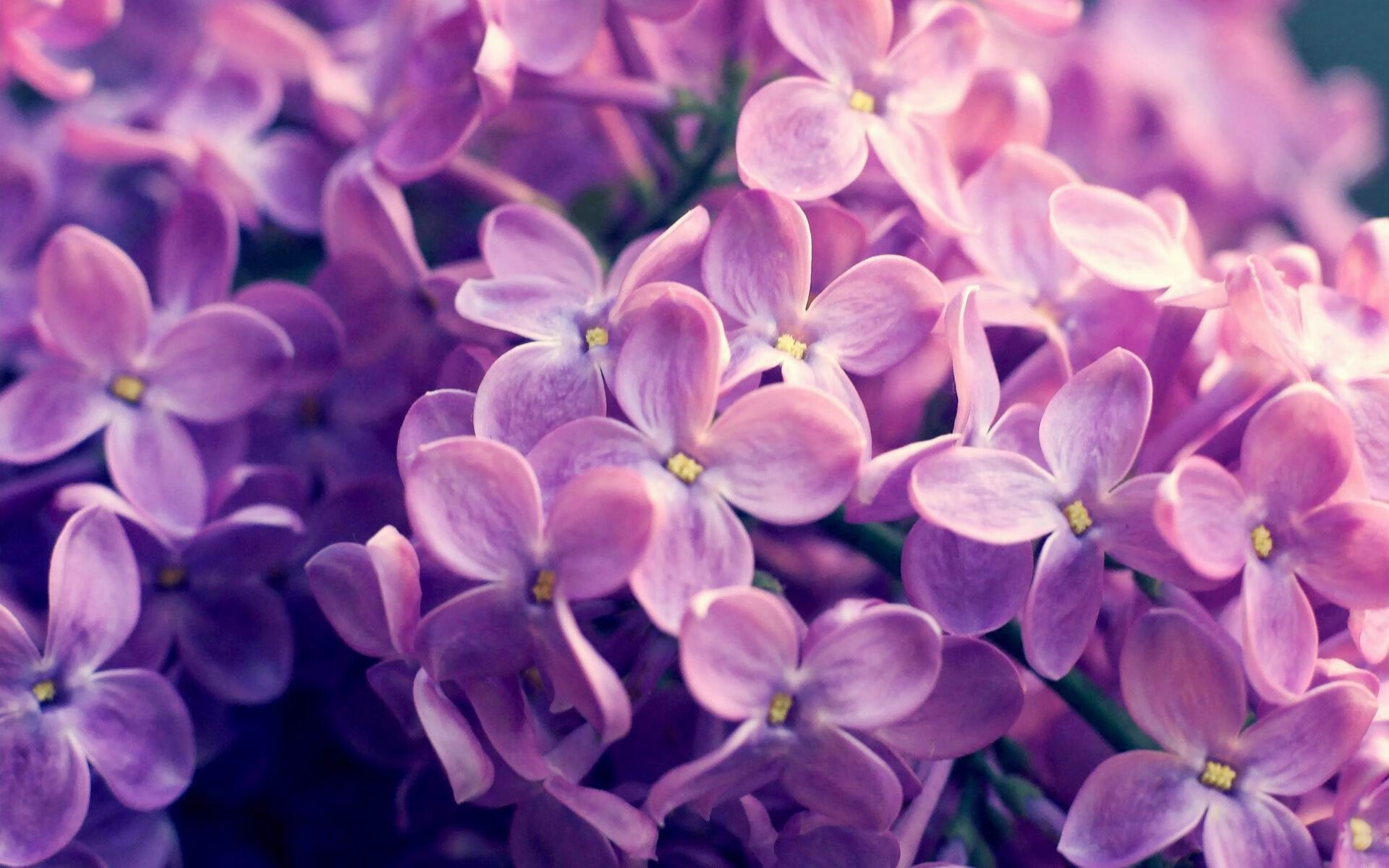 “青春之光”青少年篮球明星百名选拔在广州火热进行，发掘新一代冠军