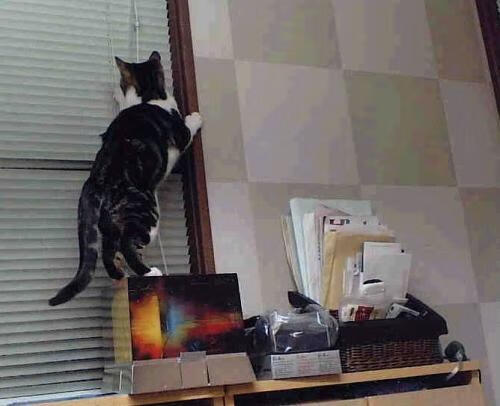 JiuyouAPP下载-全国青少年“篮球+环保”主题公益赛在青海持续火热，激发环保意识